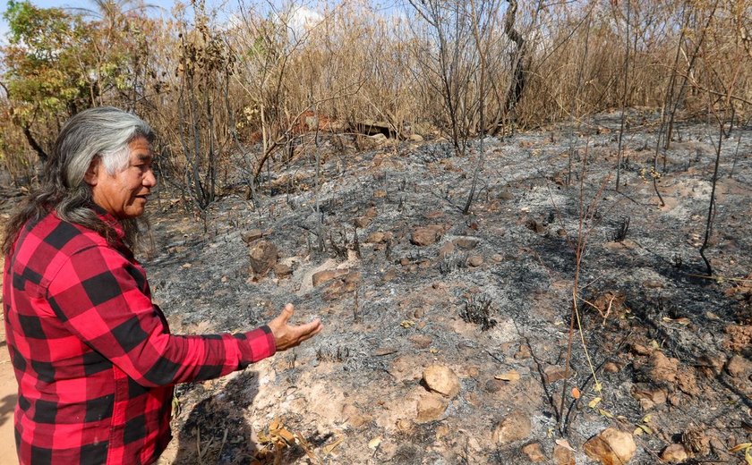 Indígenas reclamam de incêndio provocado em Brasília