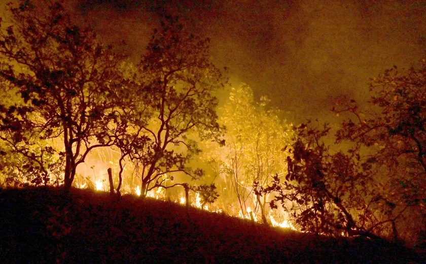 Queimadas persistem na Amazônia cidades do PA superam 1 mil focos