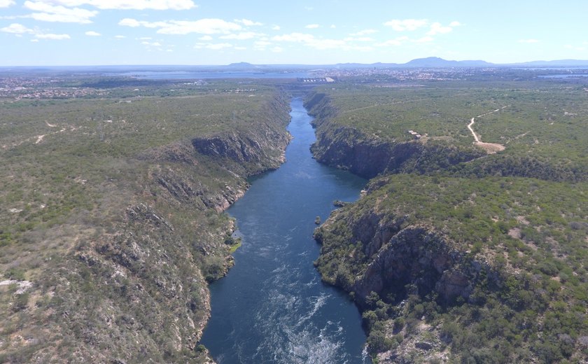 Primeira Cooperativa de Créditos de Carbono do Brasil é criada na Caatinga