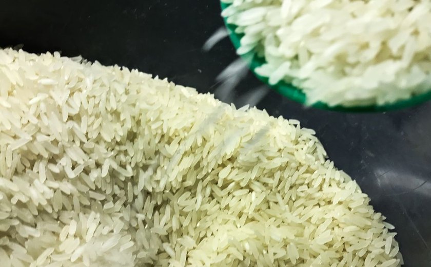 Conab vai doar sementes de arroz para agricultores familiares do RS