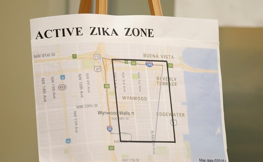 Flórida registra quase 1 mil casos de zika; 146 são de transmissão local