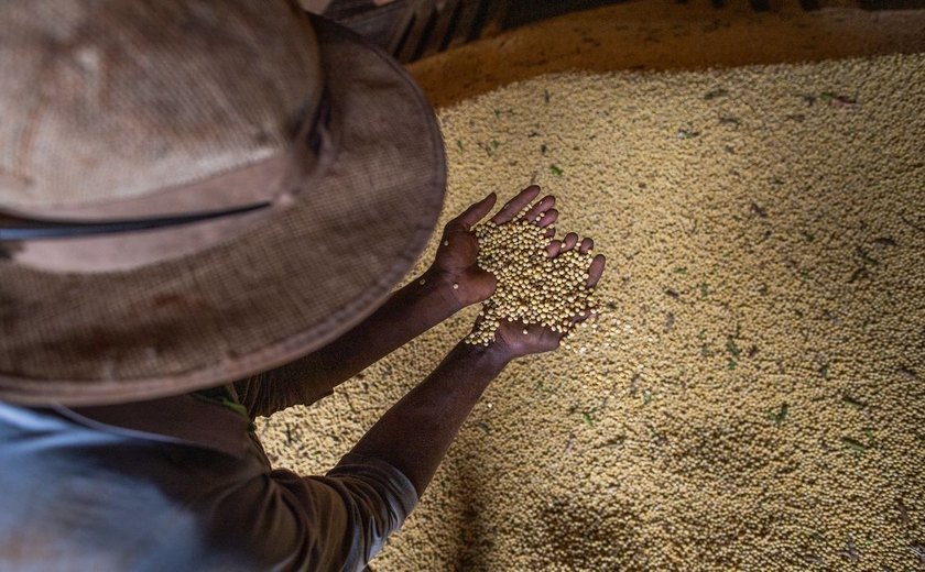 Produção de grãos 2023/2024 é estimada em 299 milhões de toneladas