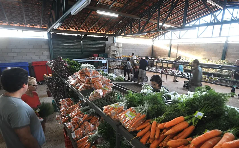 Preços da cenoura, alface e tomate caem no atacado, diz Conab; cebola e batata têm alta