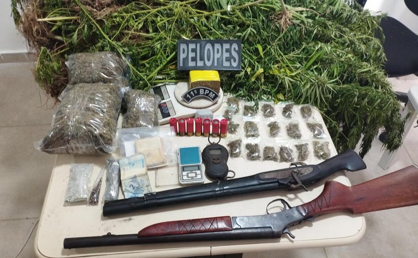 PM descobre plantação de maconha e prende suspeito armado em Penedo