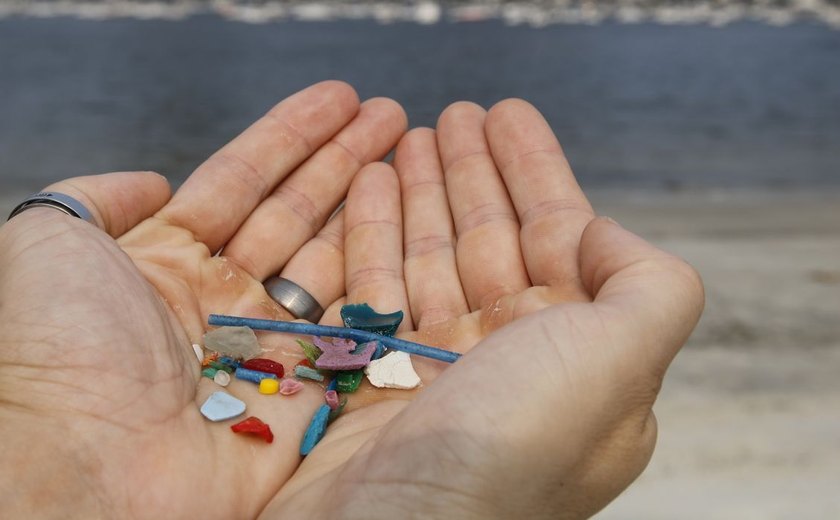 Microplásticos podem causar grave problema: comportamentos similares à demência; entenda