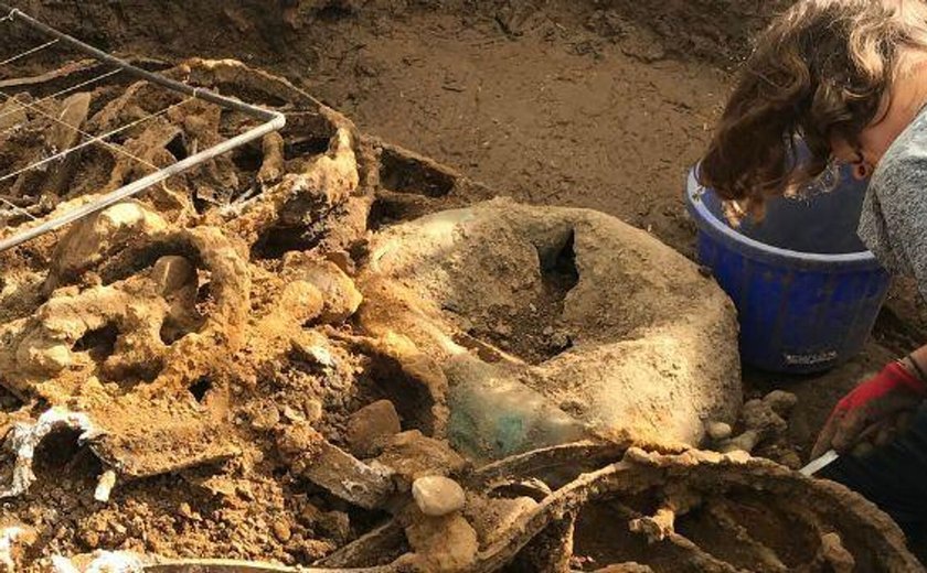 Arqueólogos revelam um dos maiores tesouros da Idade do Ferro já descobertos no Reino Unido (FOTOS)