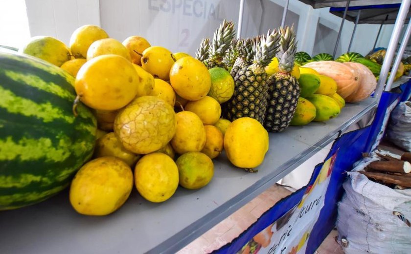 Em Maceió, Emater distribui 16 toneladas de alimentos produzidos pela agricultura familiar