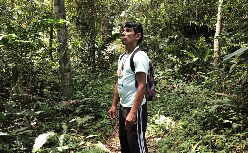 No Dia da Amazônia, organizações alertam sobre preservação do bioma