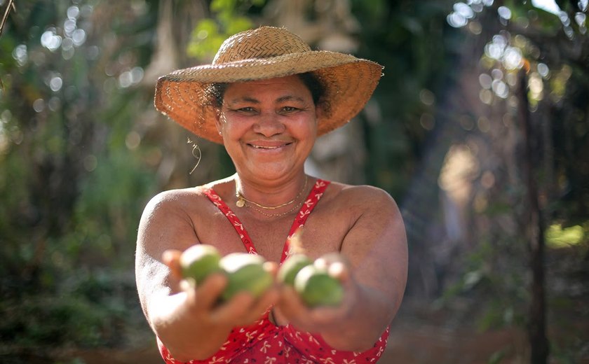 Do campo ao prato: os elos do PAA no combate à fome no Brasil