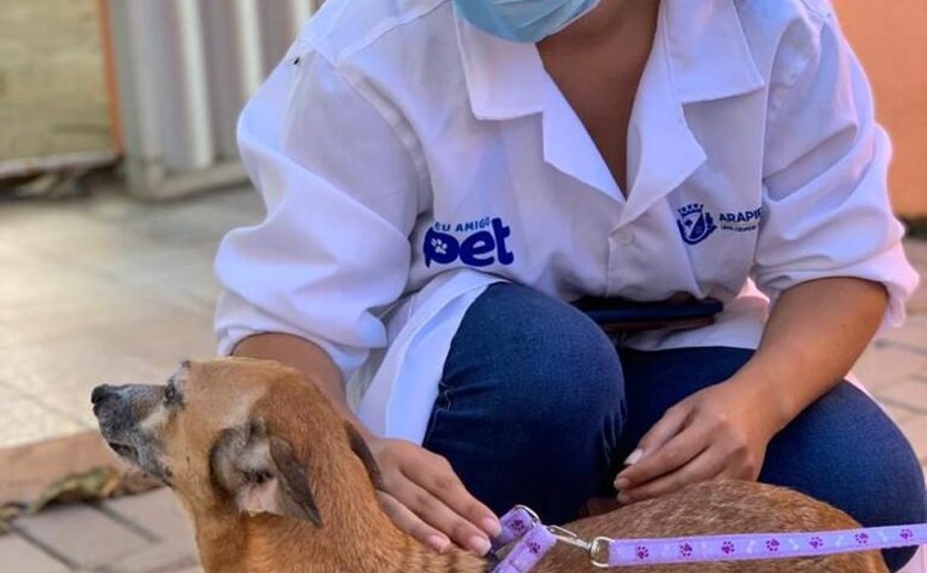 Meu Amigo Pet inicia castração de animais em abandono resgatados pelas protetoras