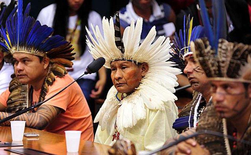 ONGs e povos indígenas lançam manifesto contra PEC 215 na Câmara