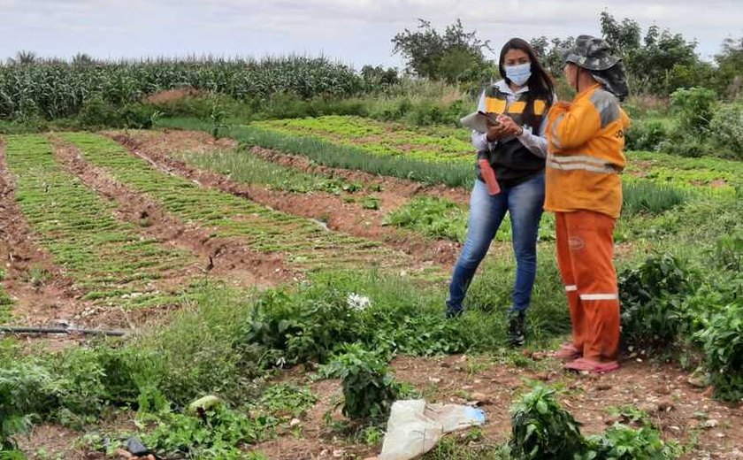 Emater e FAPEAL divulgam resultado definitivo de aprovados na seleção de bolsistas