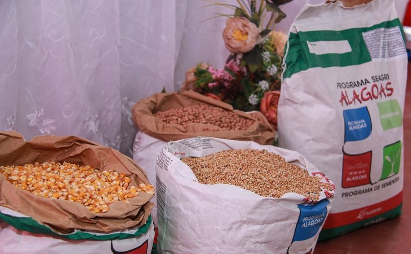 Agricultores recebem 7 mil quilos de sementes em Delmiro Gouveia