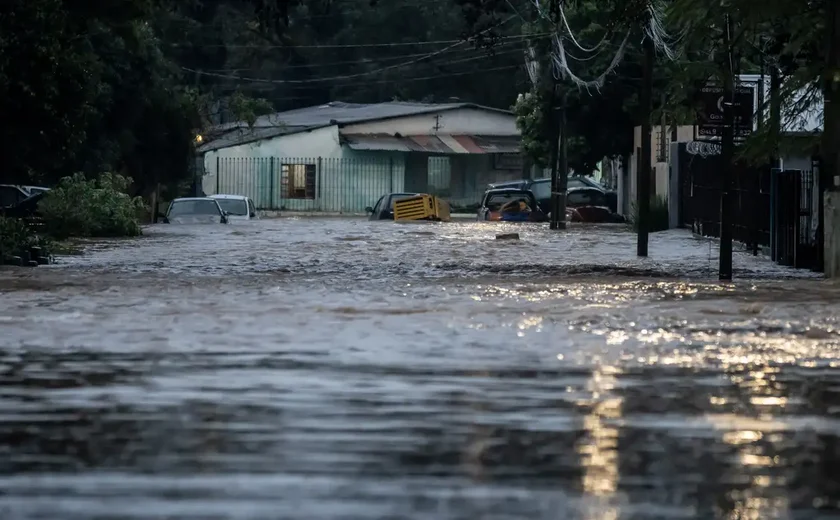 Rio Grande do Sul investiga mais de 800 casos de leptospirose