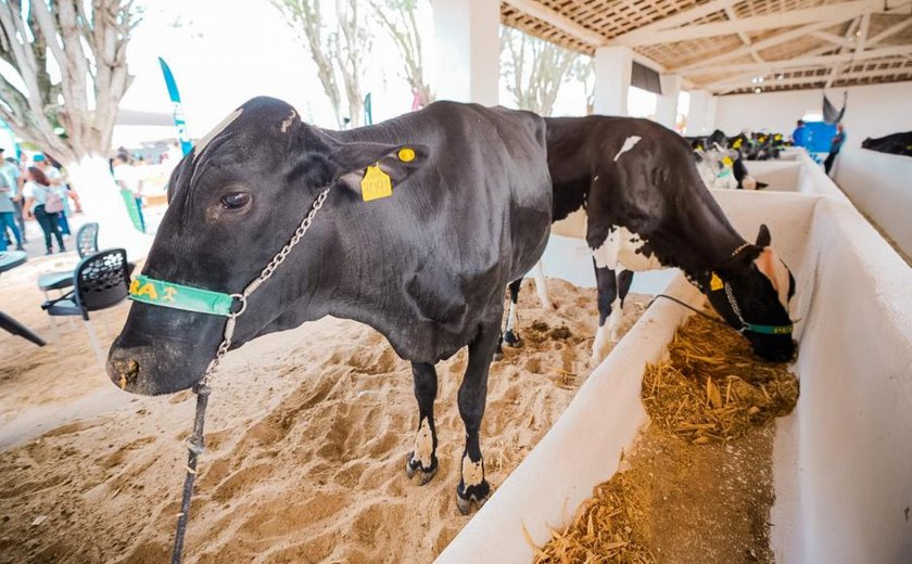 TecLeite marca pioneirismo de Alagoas na 42ª Expo Bacia Leiteira