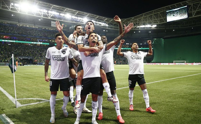 Botafogo vence Palmeiras e lidera o Brasileirão