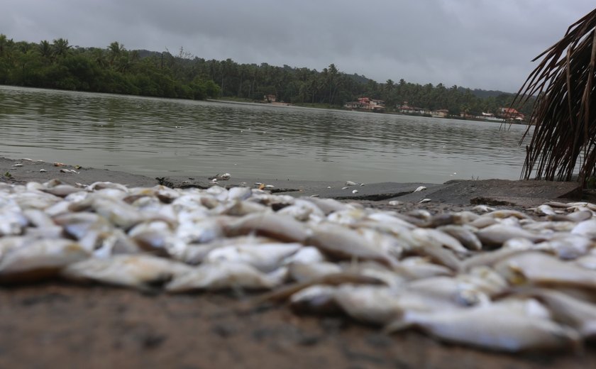 Sessão irá debater ações para impedir a mortandade de peixes no complexo lagunar