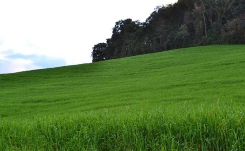 Legislativo aprova projeto de lei que altera licenciamento ambiental