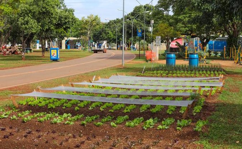 Senadores aprovam uso de terreno da União para horta comunitária