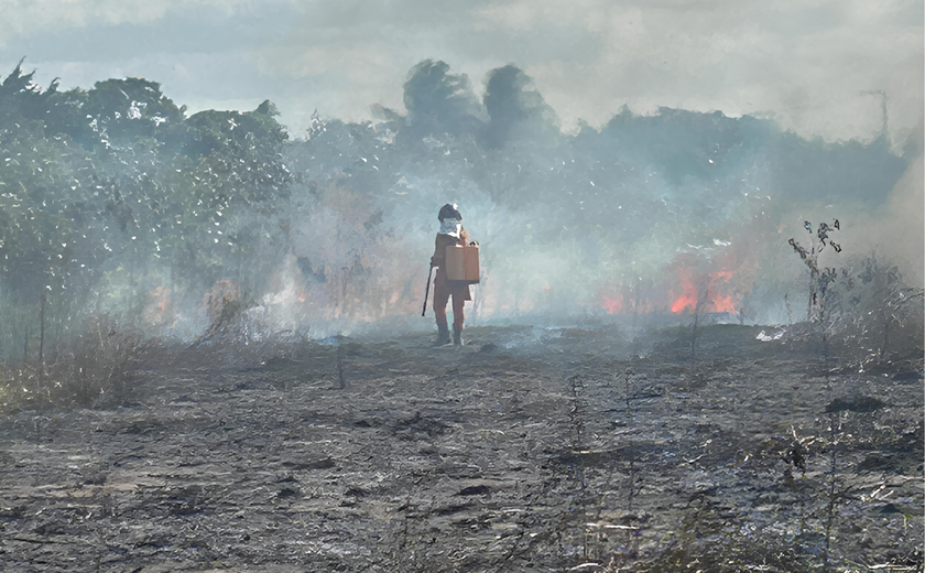Corpo de Bombeiros combate fogo em vegetação próximo a residência em Penedo