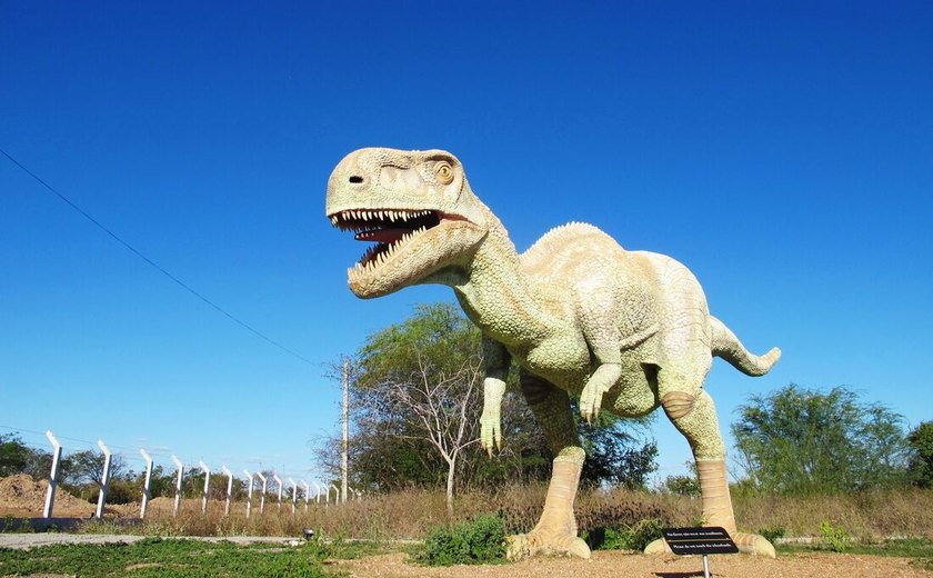 Pegadas de dinossauro de 125 milhões de anos são encontradas no interior do Nordeste