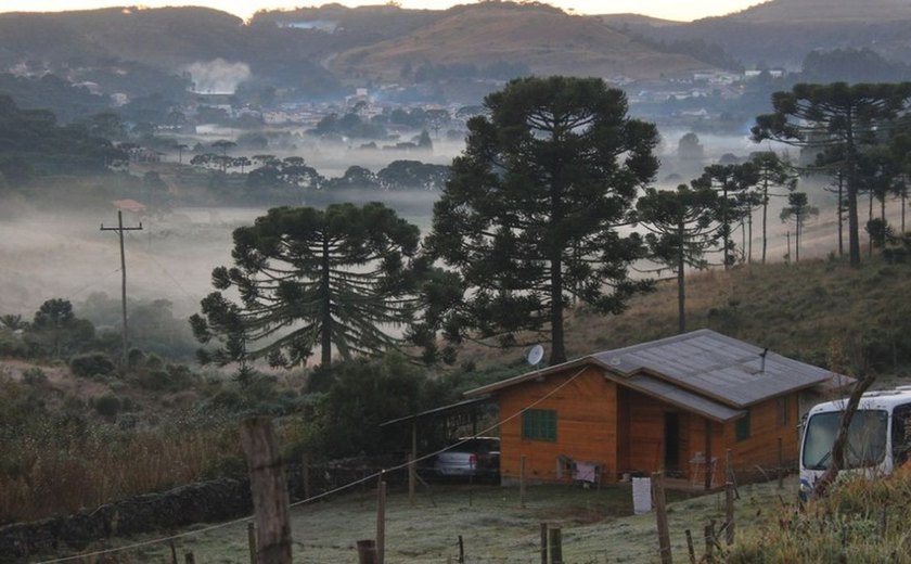 Serra Catarinense registra temperaturas abaixo de zero e geada