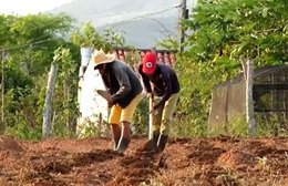 Assentamento em Pernambuco completa 30 anos de lutas