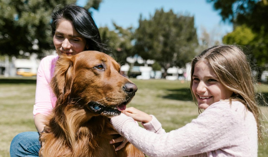 Prevenção veterinária transforma o cuidado com os pets no Brasil
