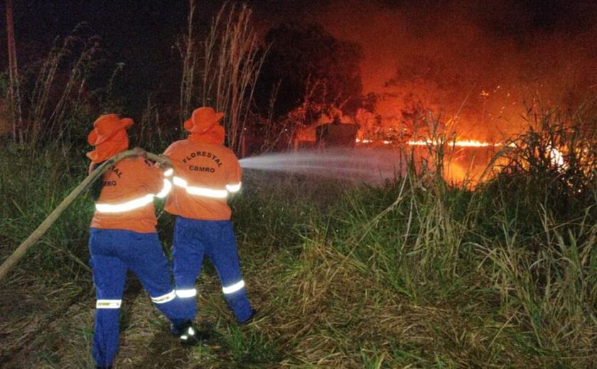Todos os biomas do Brasil registram focos de incêndios nesta sexta