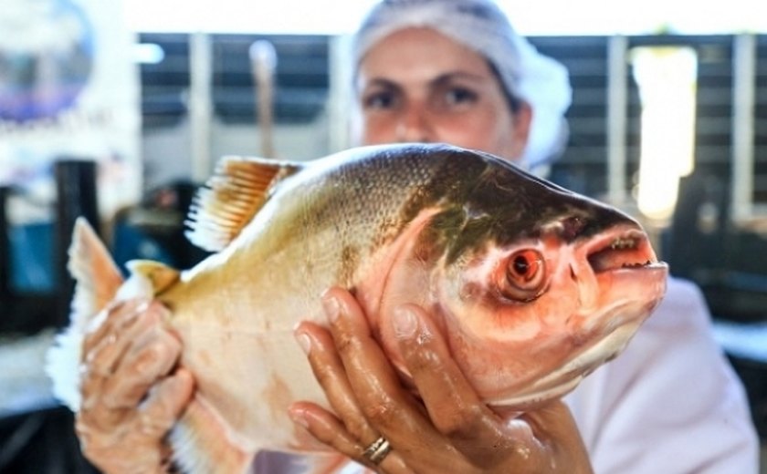 Agricultura promove Feira do Peixe Vivo nesta quarta e quinta-feira