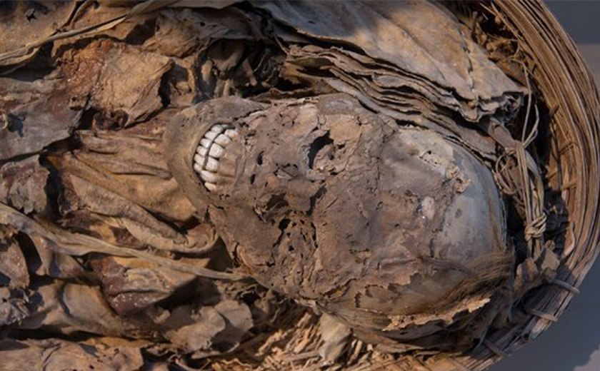 Feto é encontrado aos pés de bispo mumificado do século 17