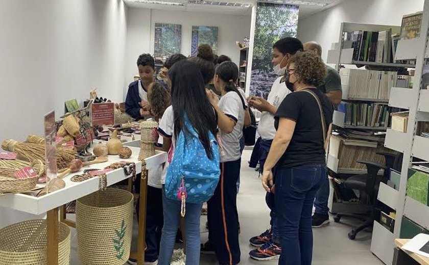IMA oferece oficina gratuita sobre práticas de herbário