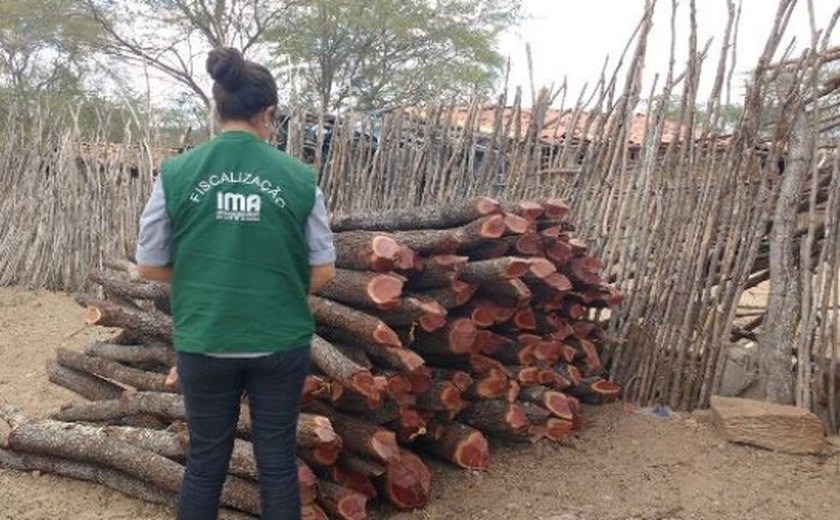 Fiscalização flagra desmatamento em Girau do Ponciano