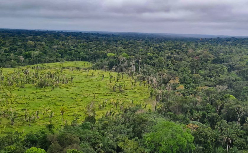 Alertas de desmatamento na Amazônia caem 10,6%