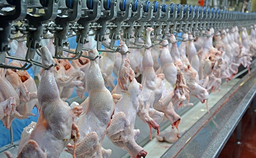 China suspende habilitação de 51 frigoríficos de frango brasileiros após caso de gripe aviária