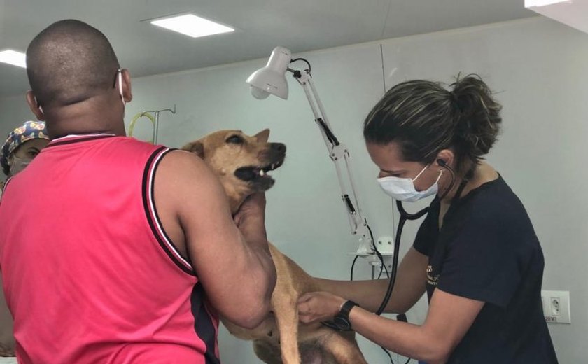 Castramóvel assiste 70 animais nos bairros Guaxuma e Garça Torta