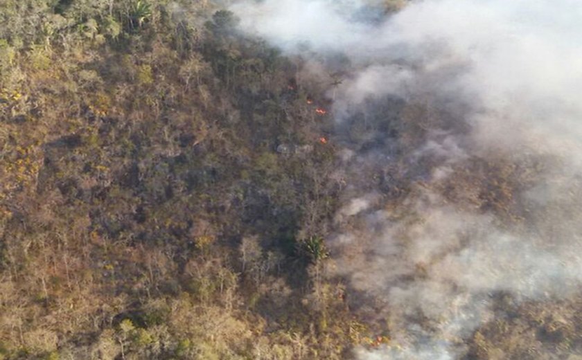 Incêndio devastou mais de 150 hectares na Mata dos Frios, em União dos Palmares