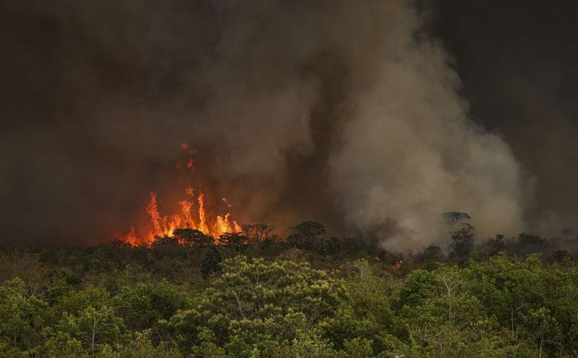 Parque Nacional de Brasília: fogo já consumiu mais de 2 mil hectares