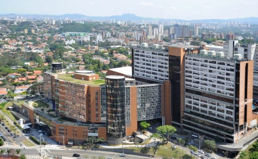 Câncer: Einstein vai testar 1º tratamento para leucemia com células imunes derivadas de cordão umbilical no Brasil; entenda