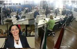 Troca de farpas na Câmara de Palmeira
