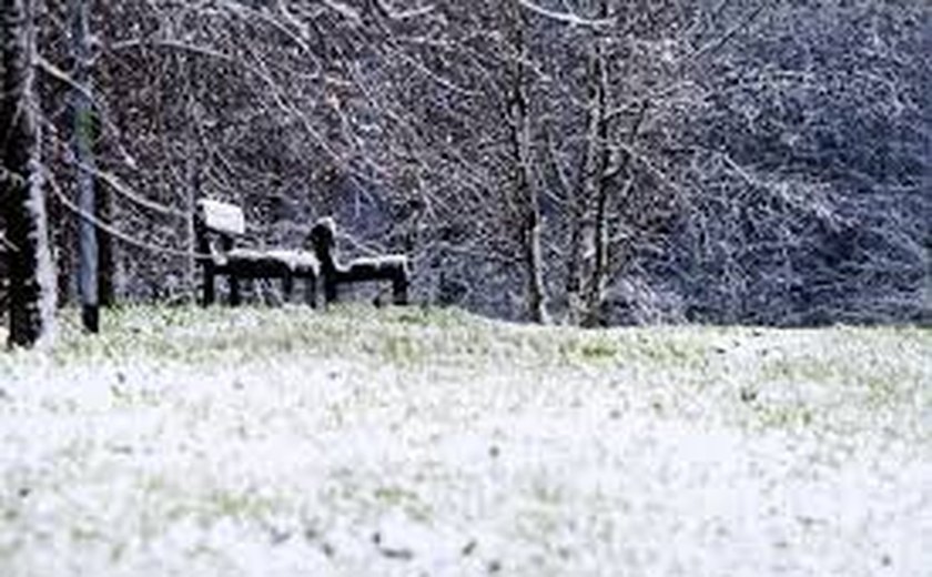 Isolados pela neve há mais de um mês, caseiro e seus 13 cães são resgatados com ajuda de blindados na Argentina