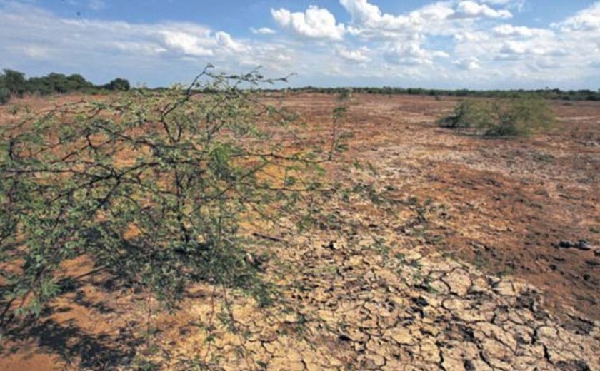 Cooperação técnica combaterá desertificação no semiárido