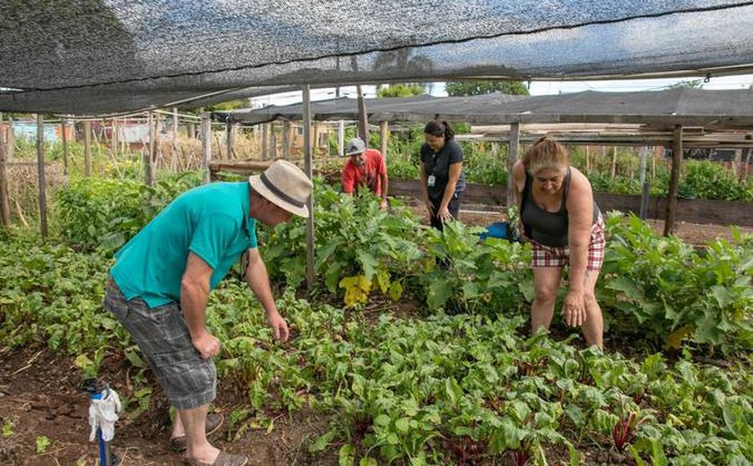 Uso de terrenos da União por hortas comunitárias será votado em Plenário