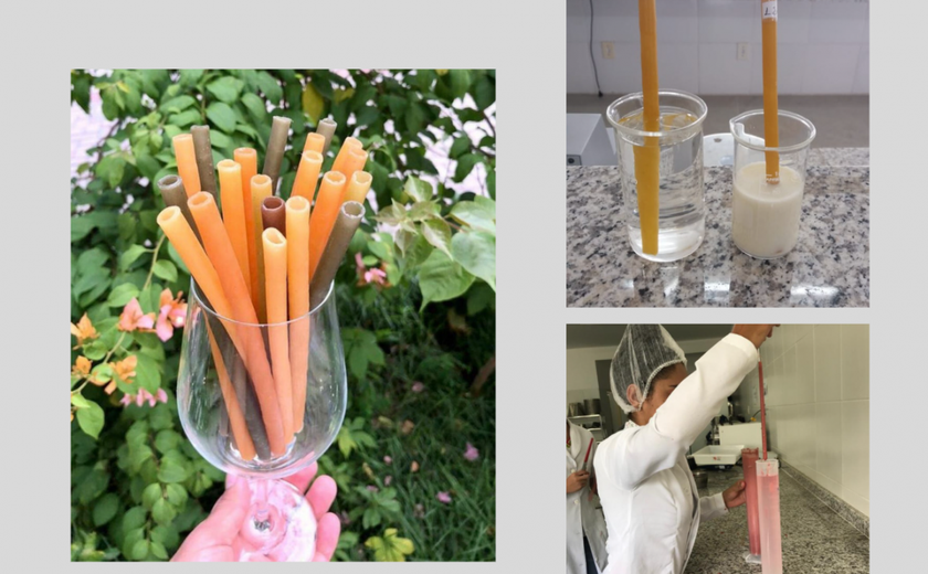 Ifal deposita patente de canudo biodegradável produzido com cera de abelha