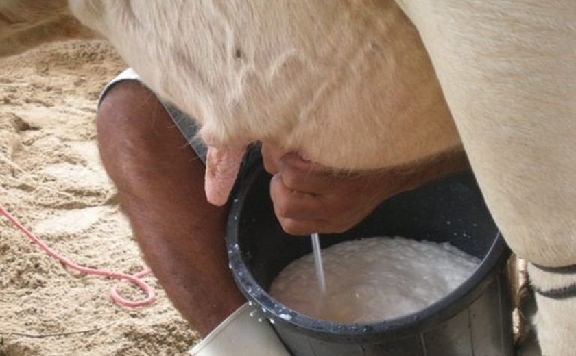 Fábio Farias destaca que Governo quer ser o facilitador para o agronegócio do leite