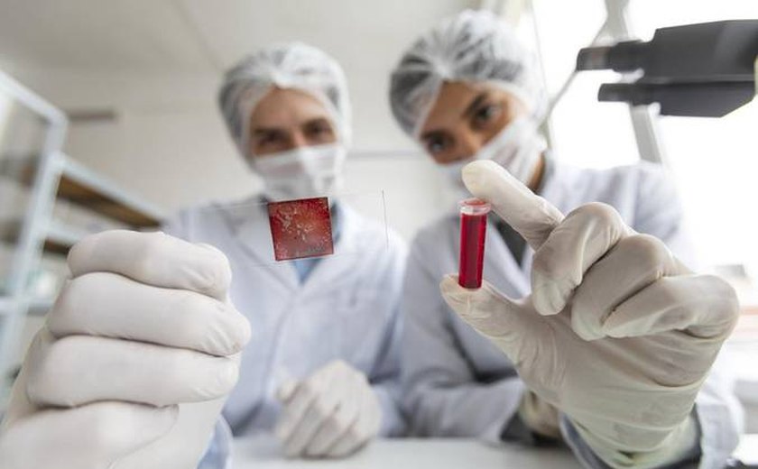 Senado cria Dia Nacional do Hematologista e do Hemoterapeuta