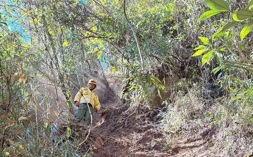 RJ: incêndio no Parque Nacional do Itatiaia é extinto