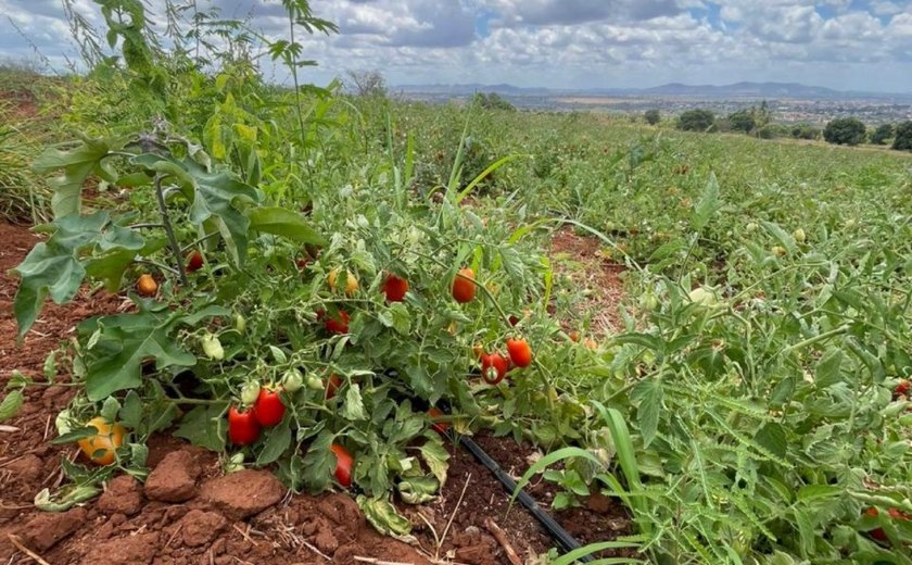 Companhia de abastecimento acusa agricultor de desviar águas