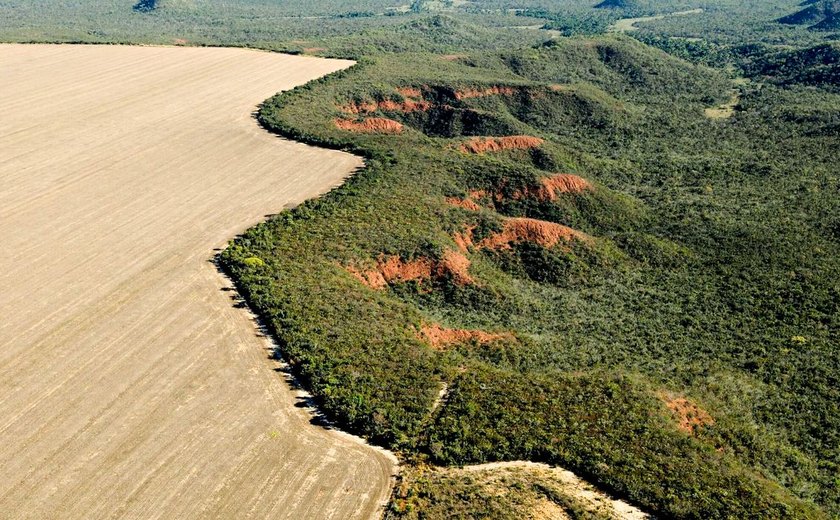 Senado aprova flexibilização do licenciamento ambiental