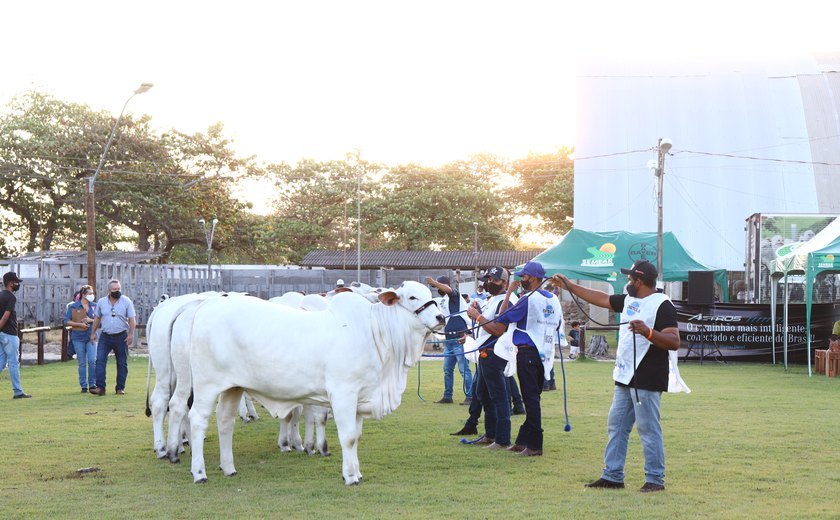 Expoagro/AL levará experiências do campo para a cidade